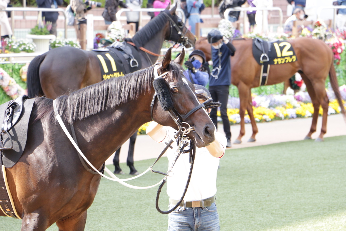 f:id:shitooo:20210413221819j:plain