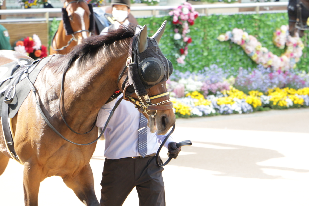 f:id:shitooo:20210413222117j:plain