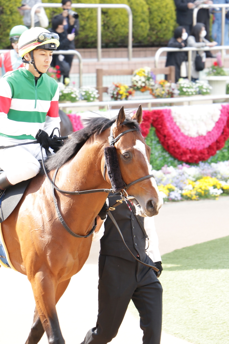 f:id:shitooo:20210413222206j:plain