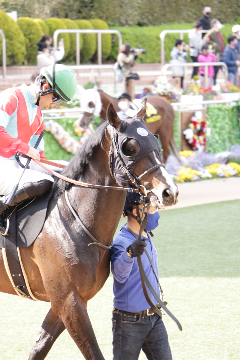 f:id:shitooo:20210413222300j:plain