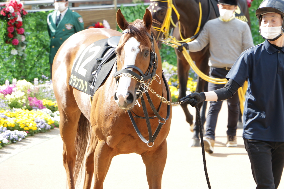 f:id:shitooo:20210413222311j:plain