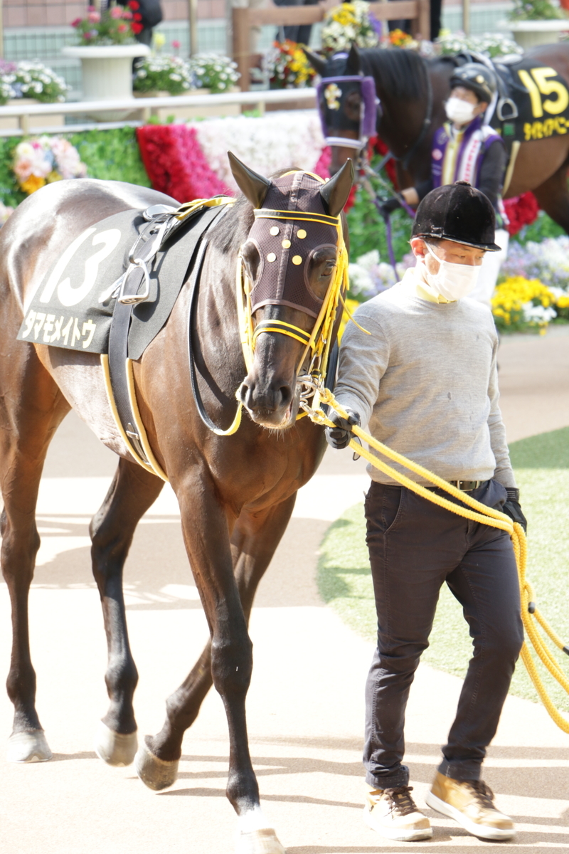 f:id:shitooo:20210413222340j:plain