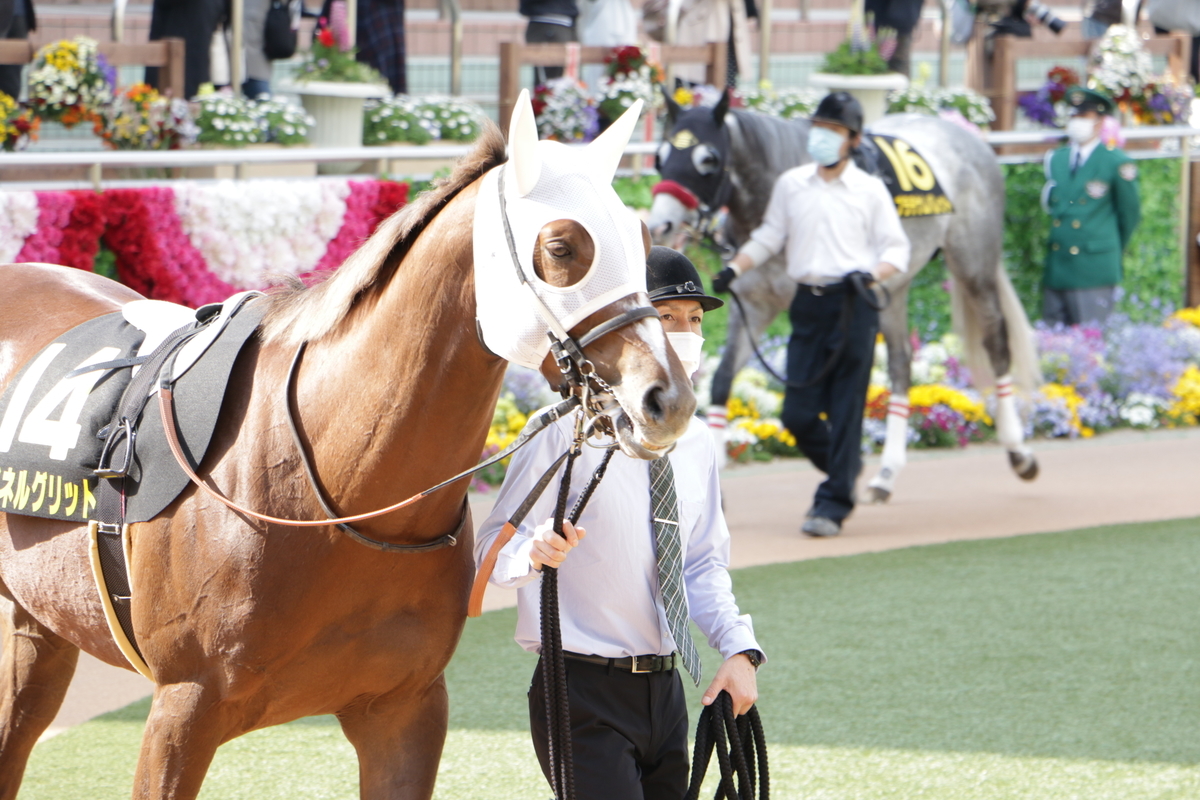 f:id:shitooo:20210413222352j:plain