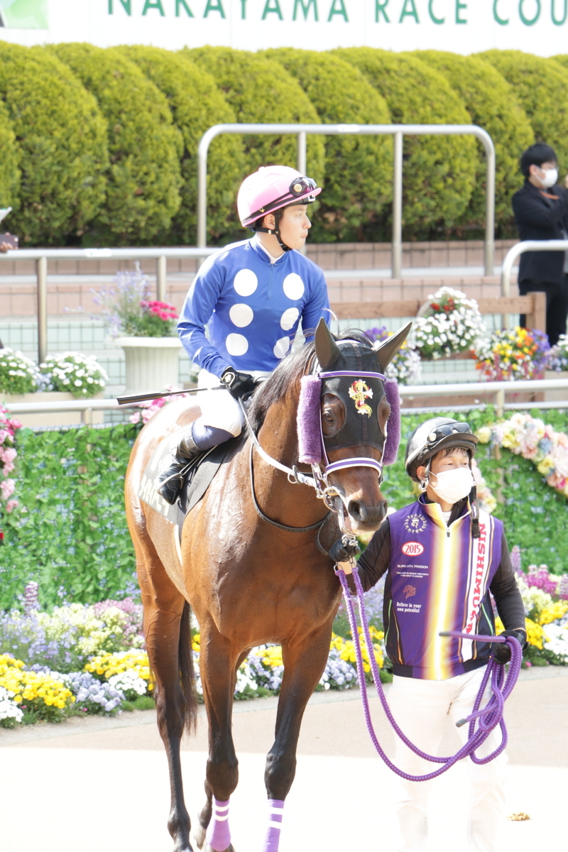 f:id:shitooo:20210413222422j:plain