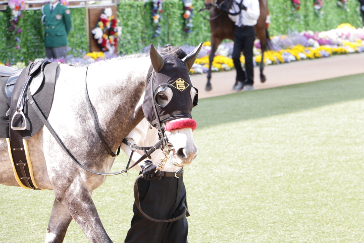 f:id:shitooo:20210413222518j:plain