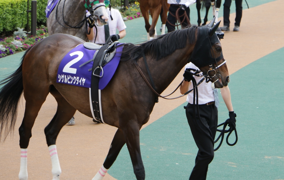 f:id:shitooo:20210520053409j:plain