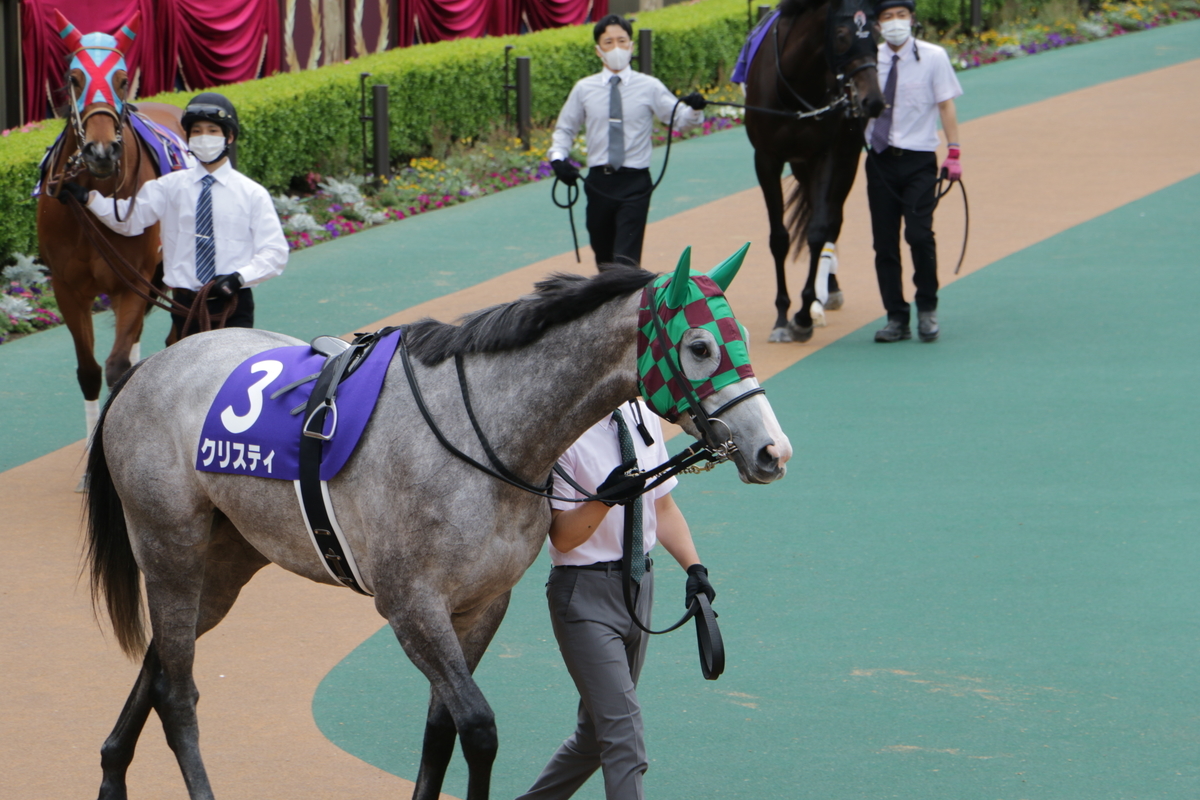 f:id:shitooo:20210520053453j:plain