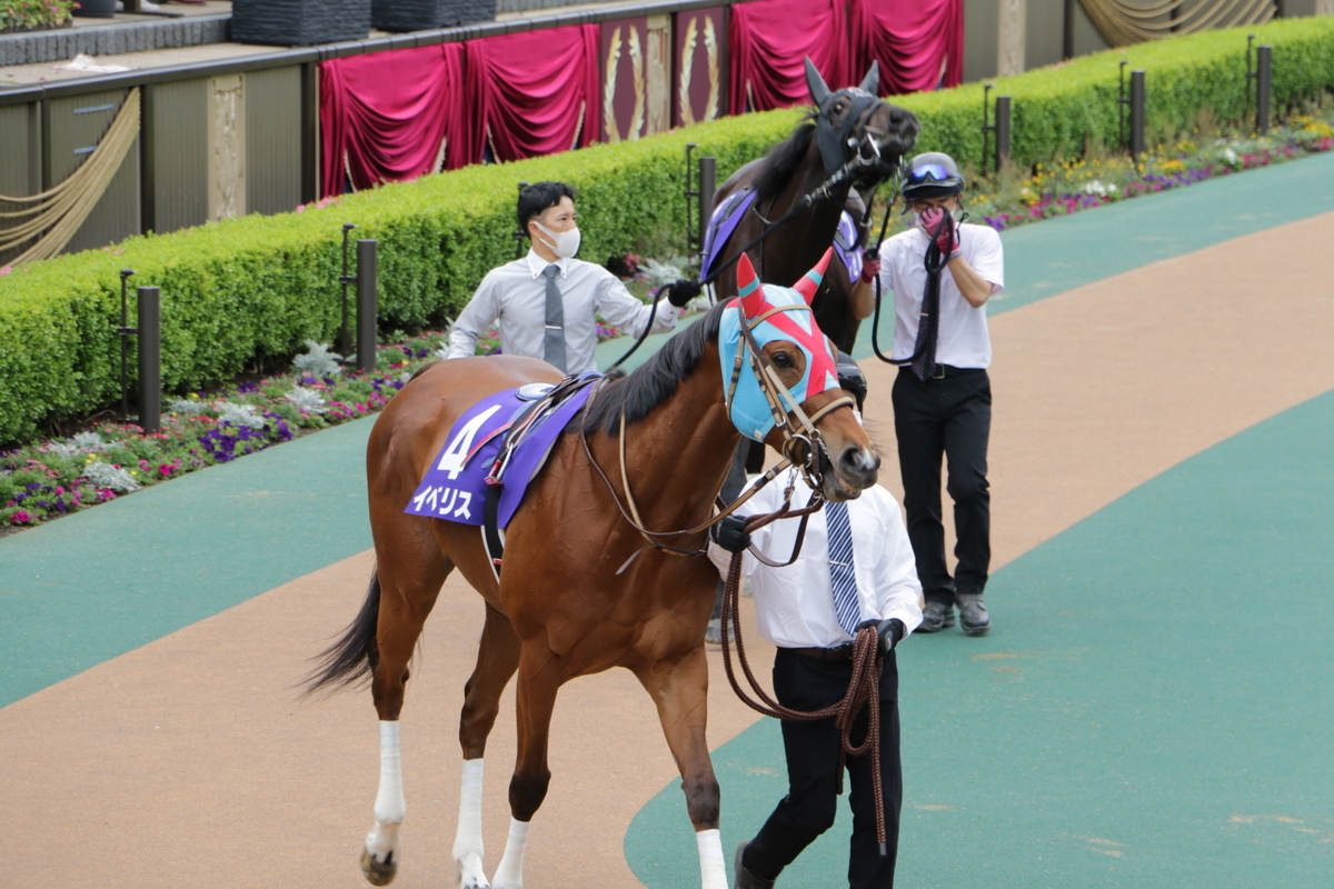 f:id:shitooo:20210520053547j:plain