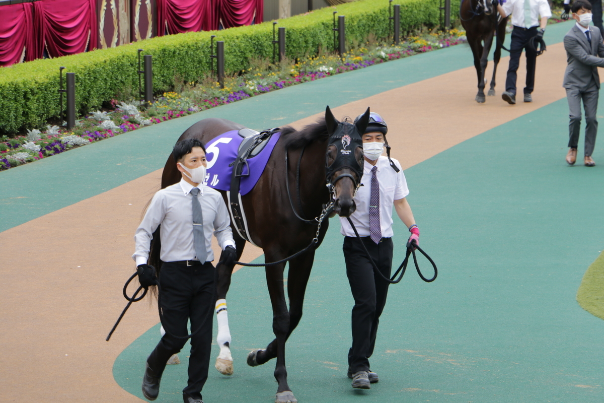 f:id:shitooo:20210520053753j:plain