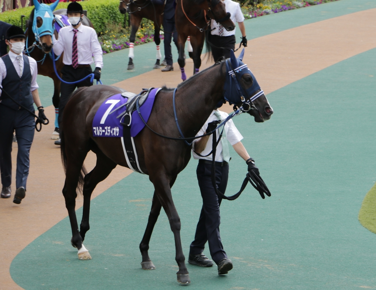 f:id:shitooo:20210520053904j:plain