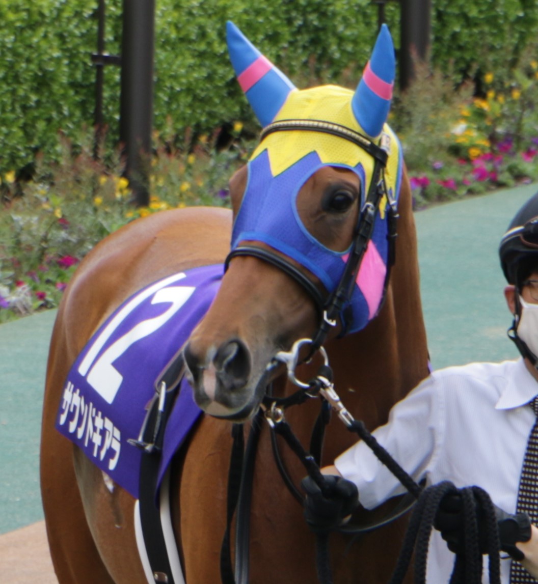 f:id:shitooo:20210520054207j:plain