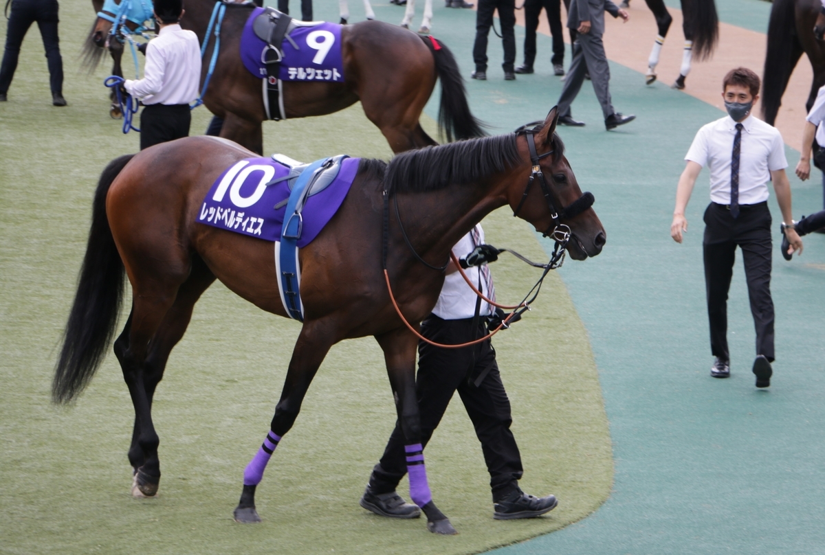 f:id:shitooo:20210520054454j:plain