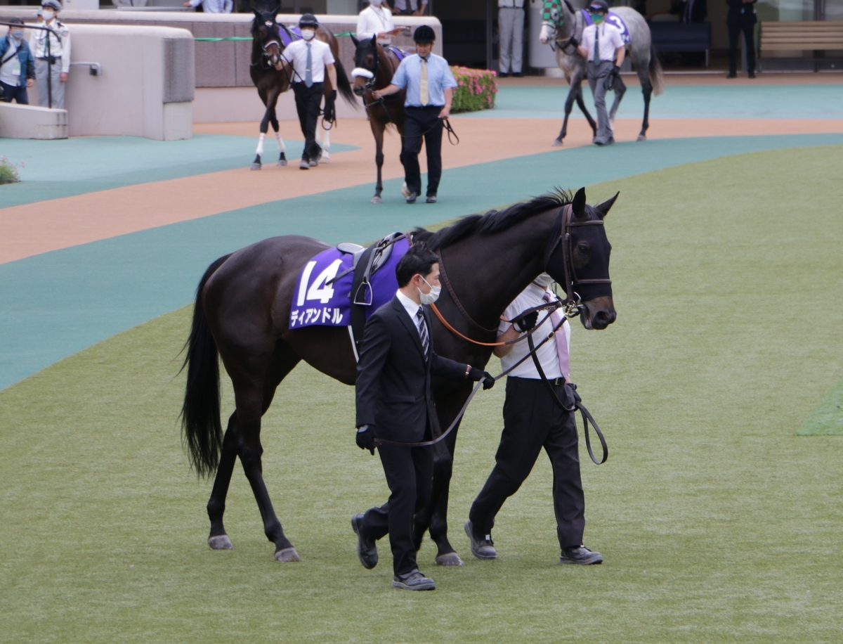 f:id:shitooo:20210520060117j:plain