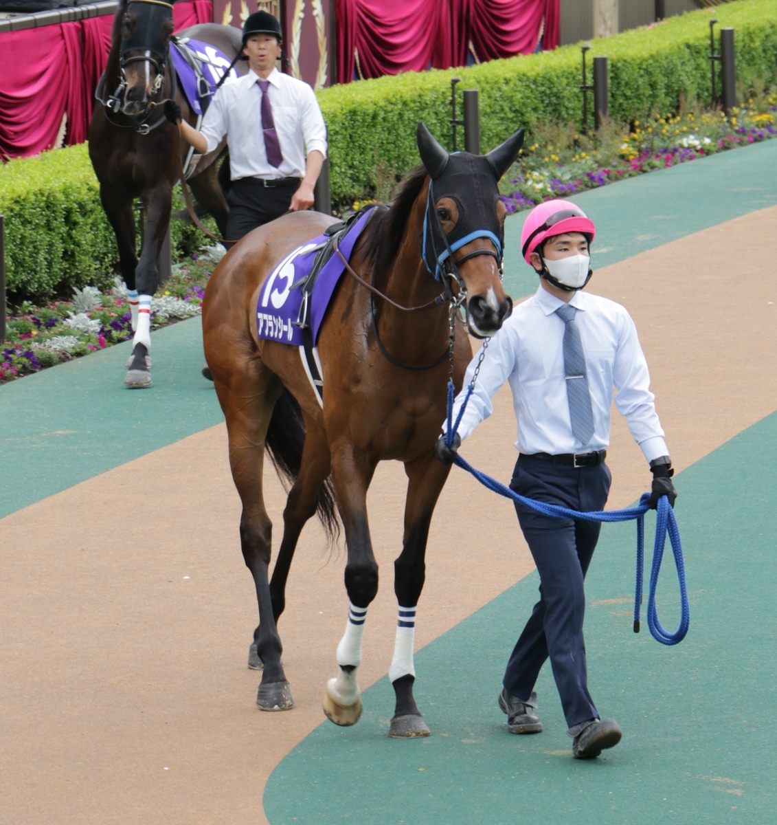 f:id:shitooo:20210520060150j:plain