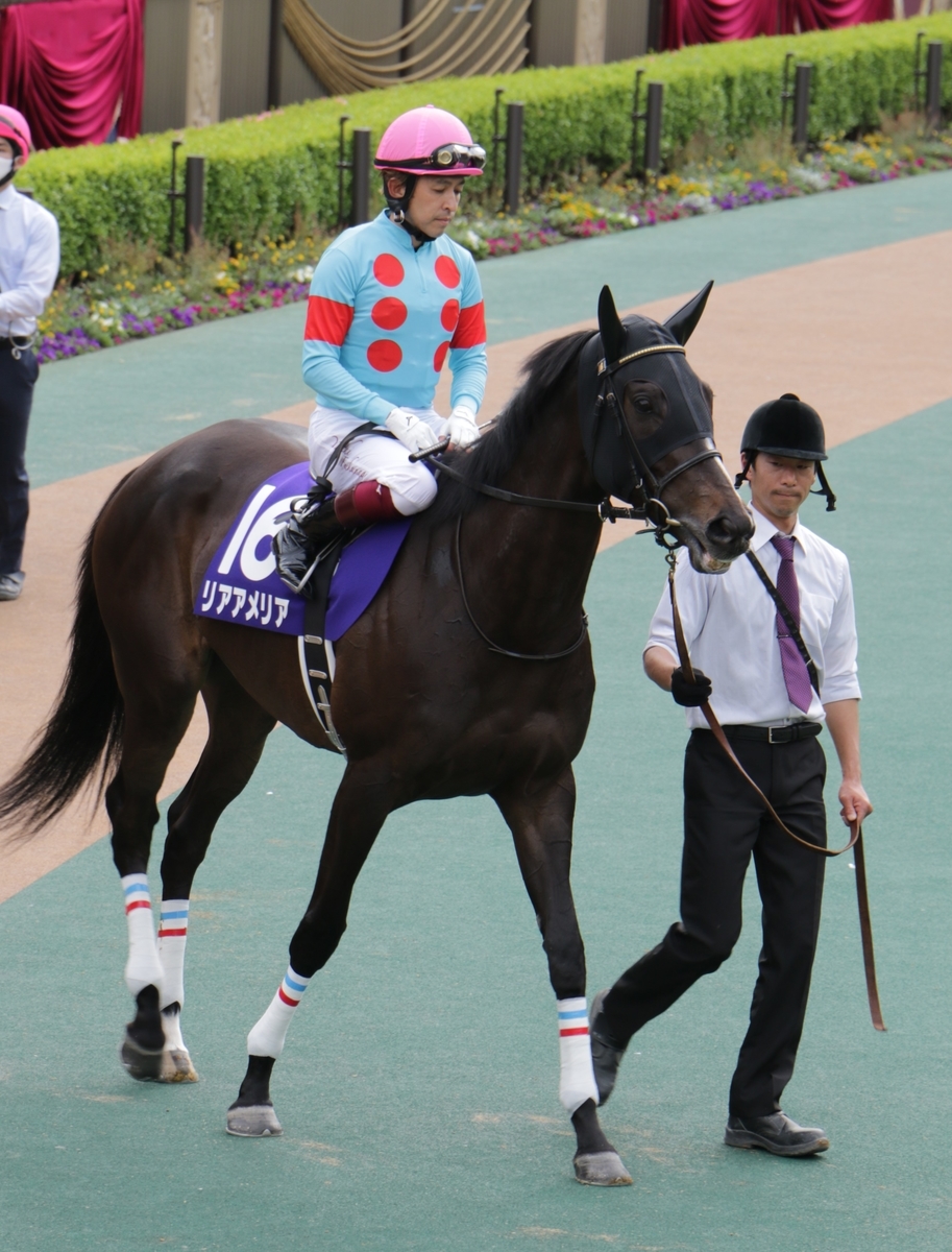 f:id:shitooo:20210520060220j:plain