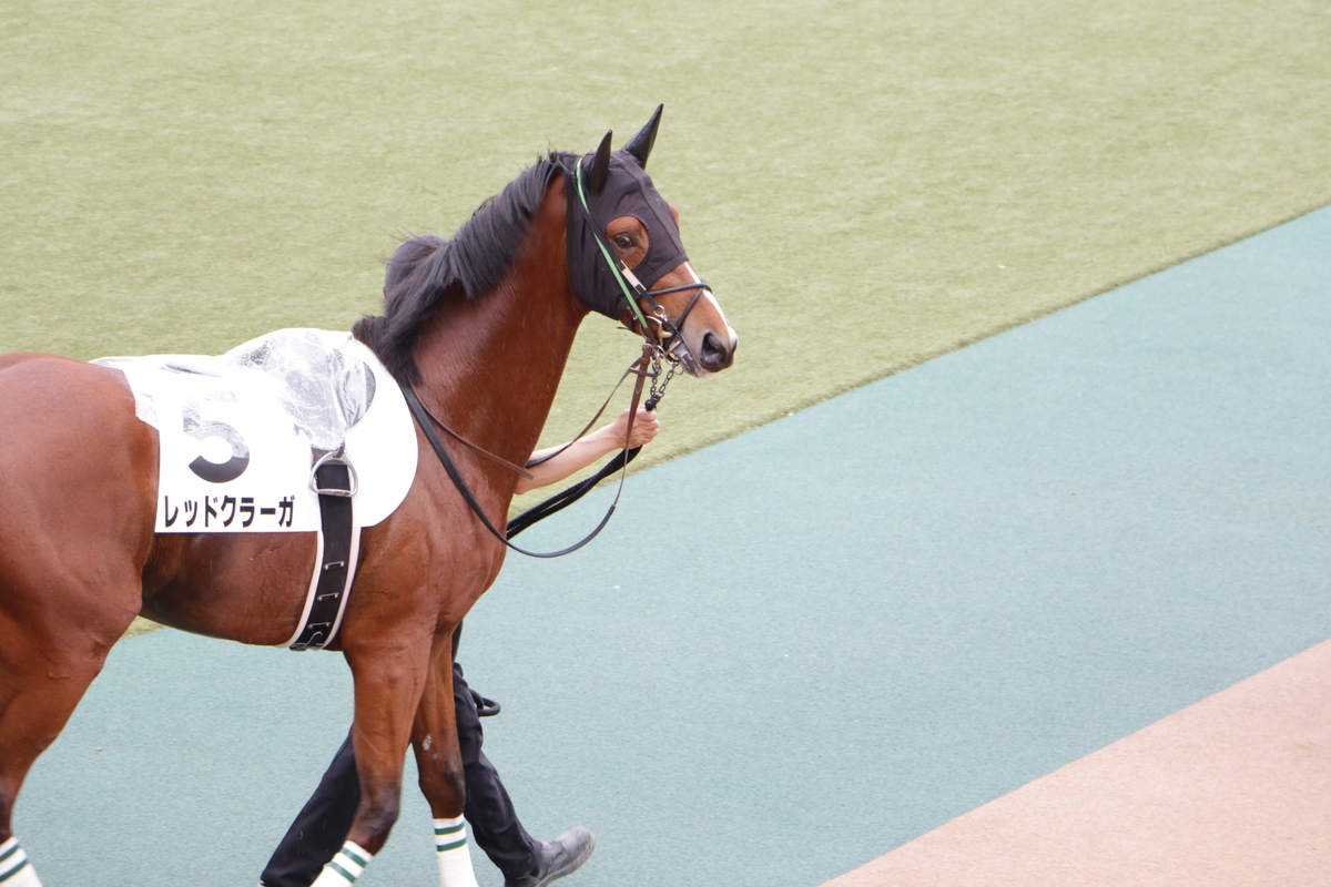 f:id:shitooo:20210520201313j:plain