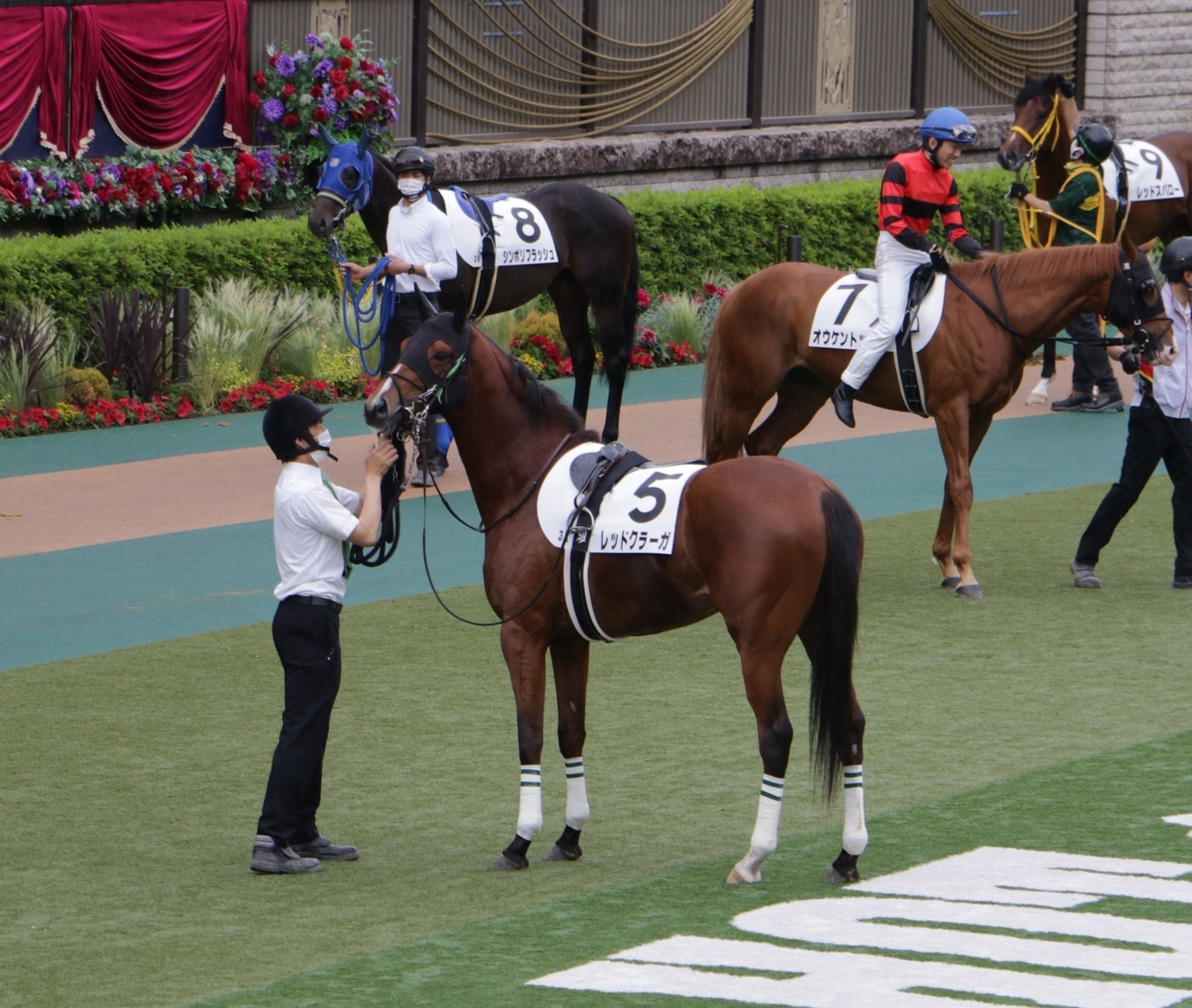 f:id:shitooo:20210520201336j:plain