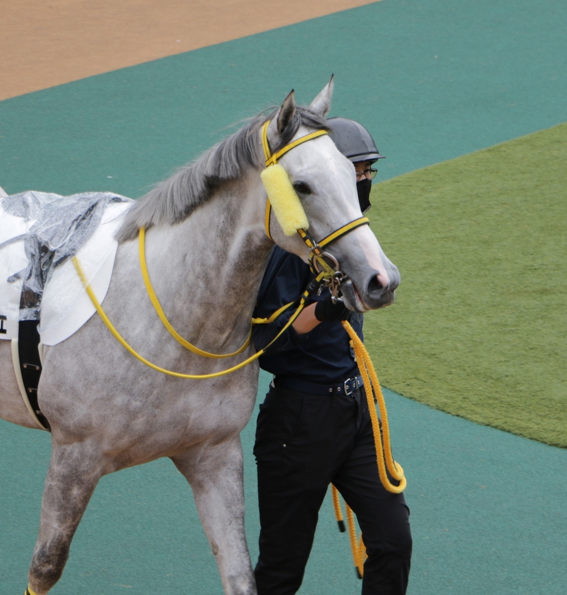 f:id:shitooo:20210520201634j:plain