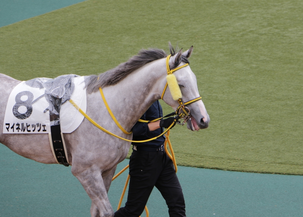 f:id:shitooo:20210520201715j:plain