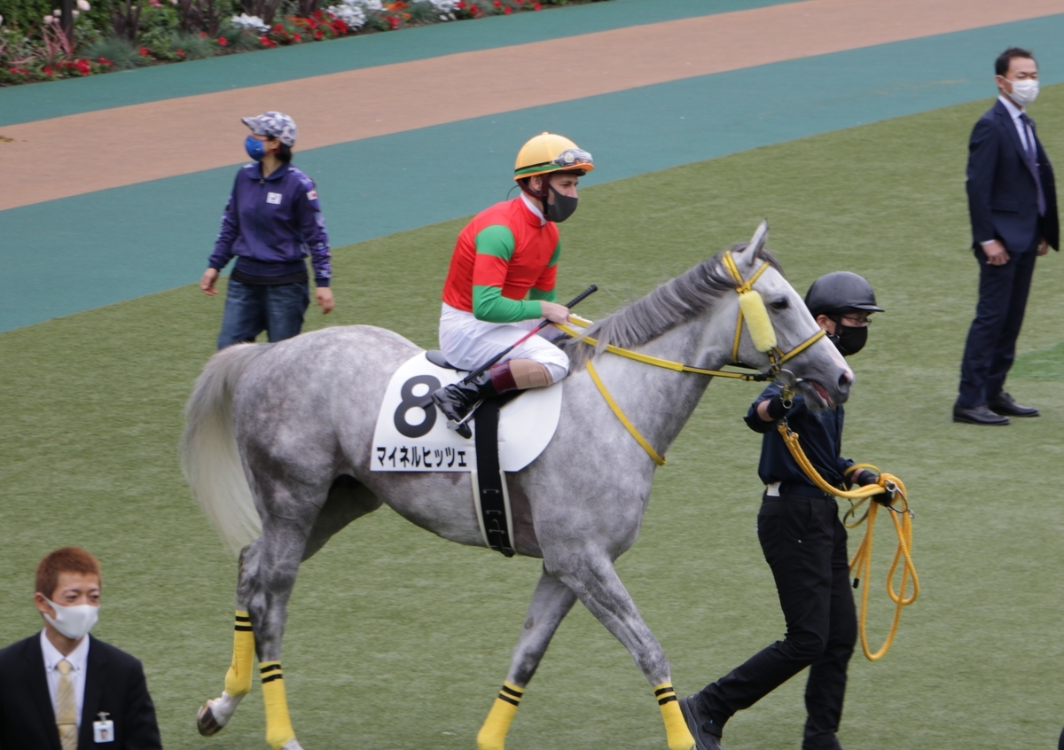 f:id:shitooo:20210520202013j:plain