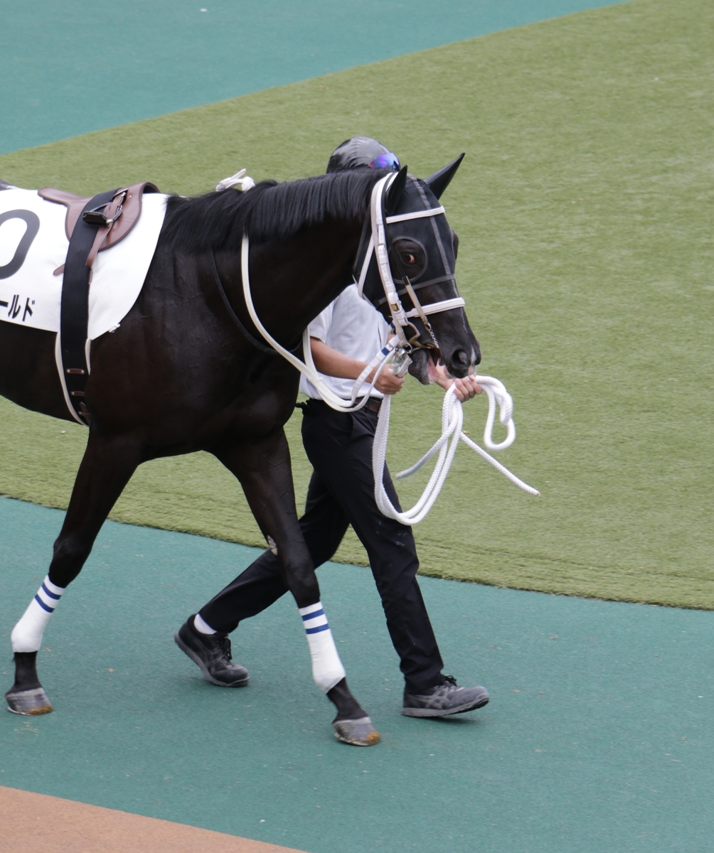 f:id:shitooo:20210520202308j:plain