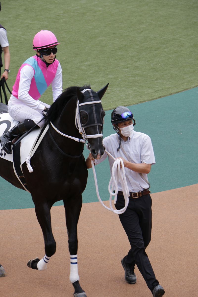 f:id:shitooo:20210520202450j:plain