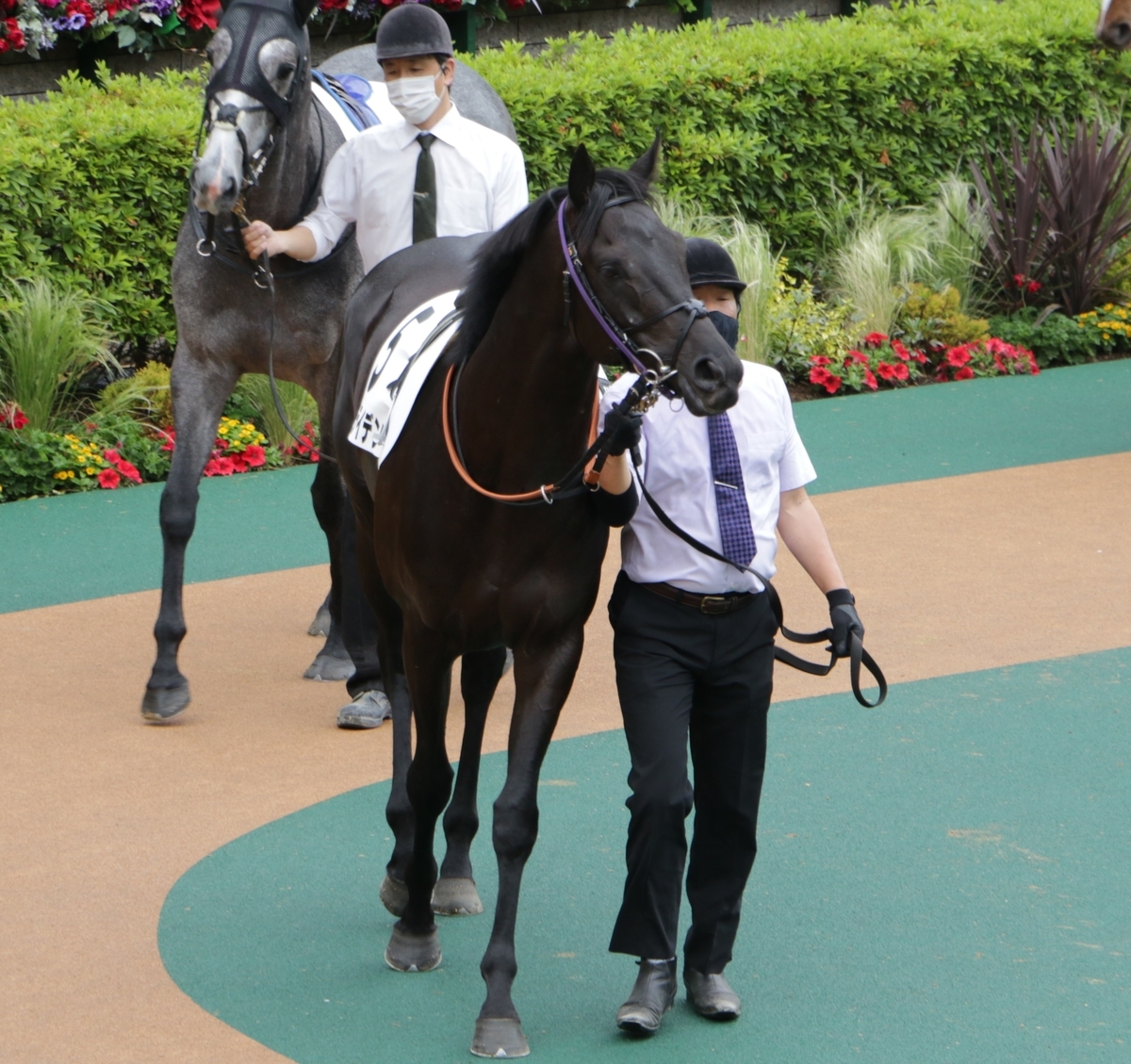 f:id:shitooo:20210520202548j:plain