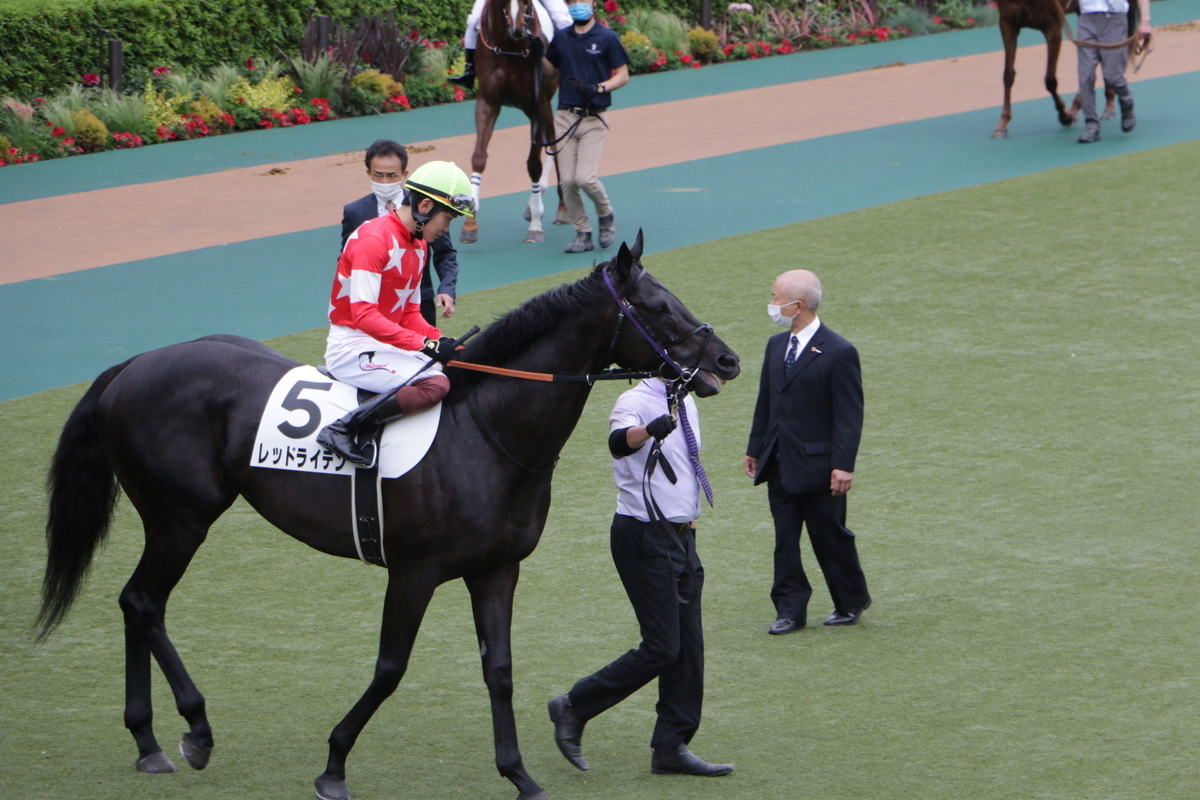 f:id:shitooo:20210520202811j:plain