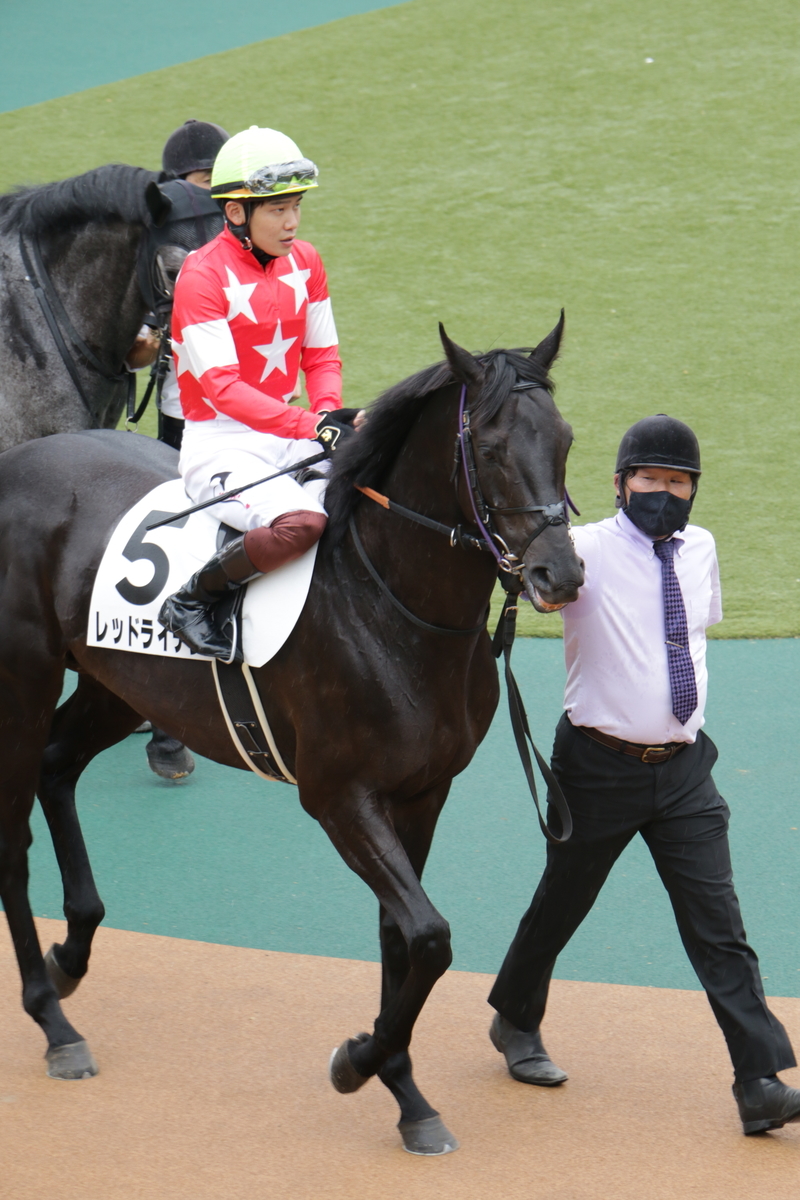 f:id:shitooo:20210520202908j:plain