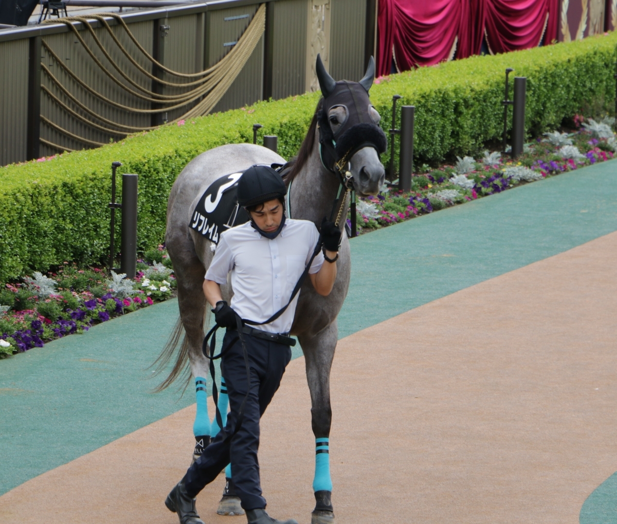 f:id:shitooo:20210520203024j:plain