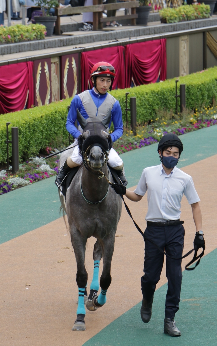 f:id:shitooo:20210520203220j:plain