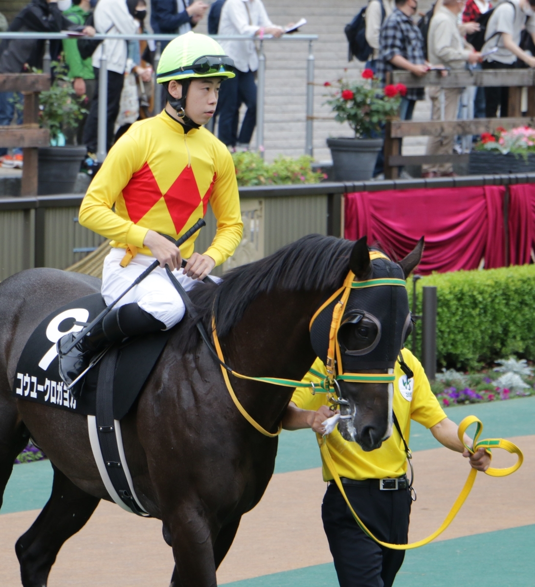 f:id:shitooo:20210520203533j:plain