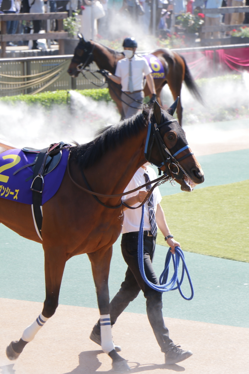 f:id:shitooo:20210526061020j:plain