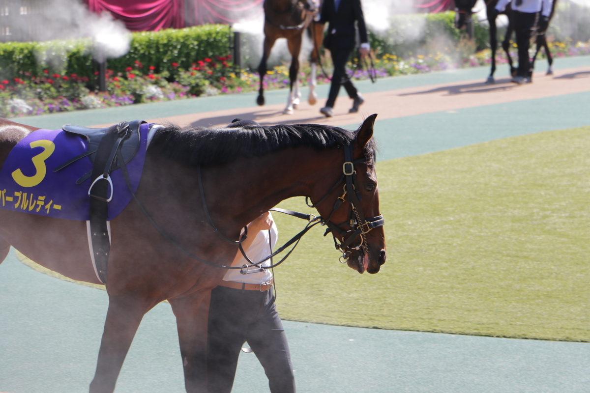 f:id:shitooo:20210526061203j:plain