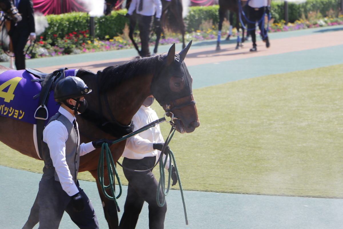 f:id:shitooo:20210526061328j:plain