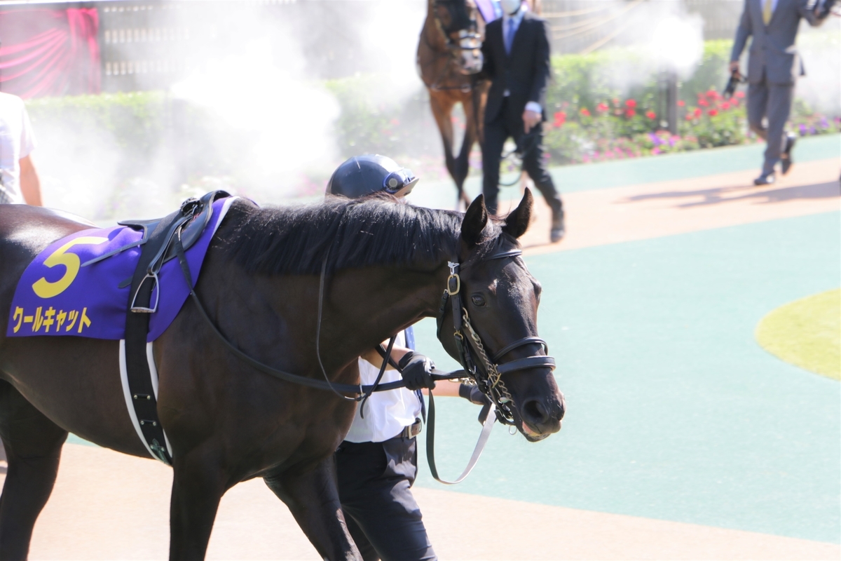 f:id:shitooo:20210526061419j:plain