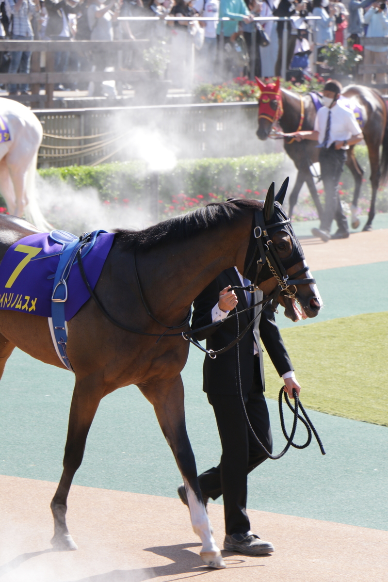 f:id:shitooo:20210526061658j:plain