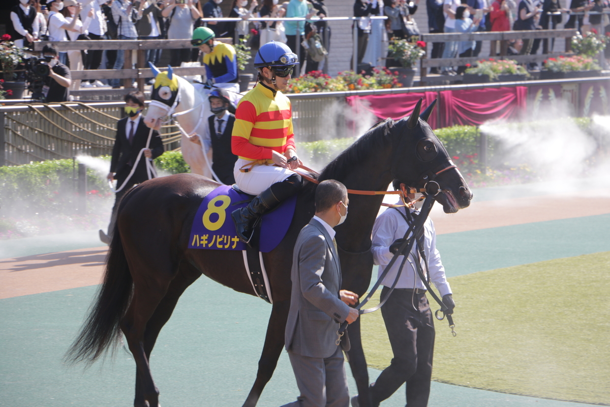 f:id:shitooo:20210526061836j:plain