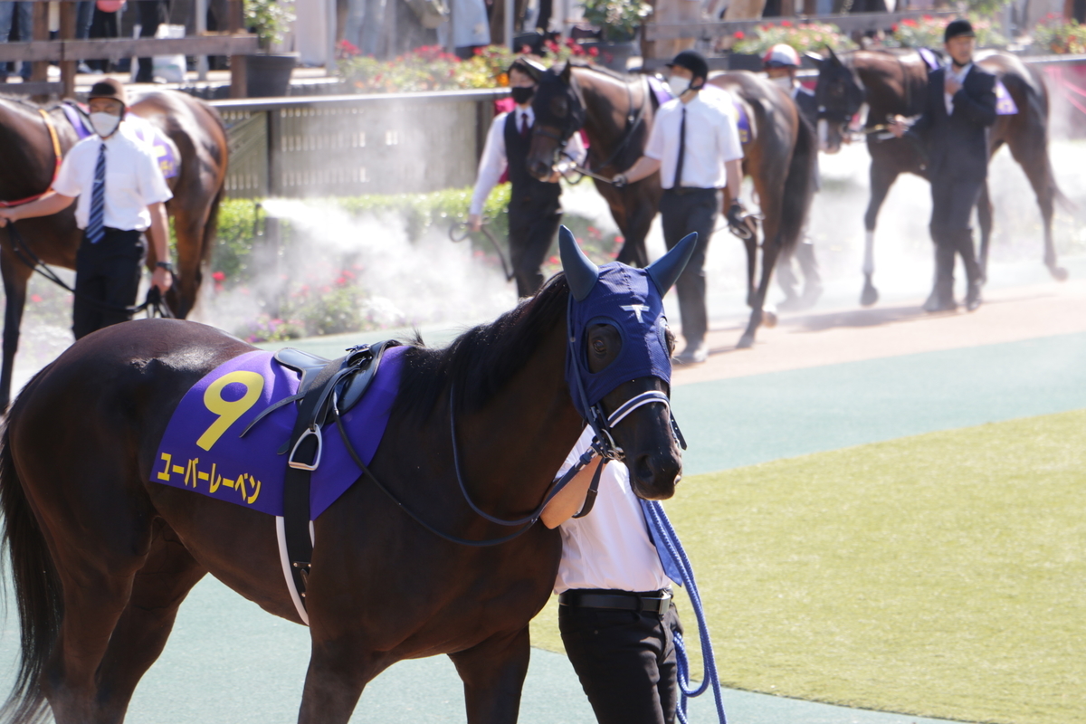 f:id:shitooo:20210526204703j:plain