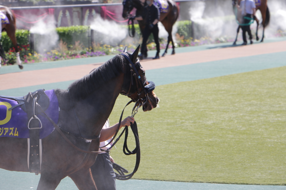 f:id:shitooo:20210526204848j:plain