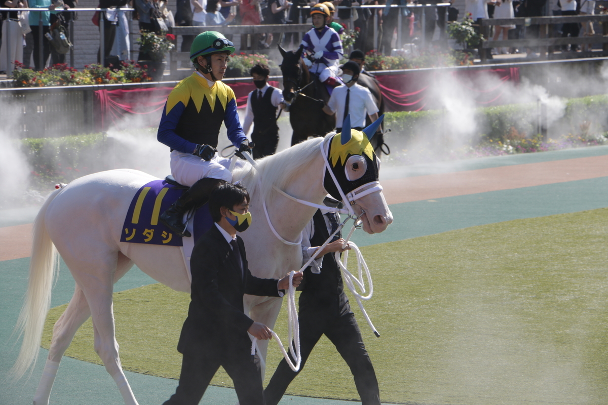 f:id:shitooo:20210526205132j:plain