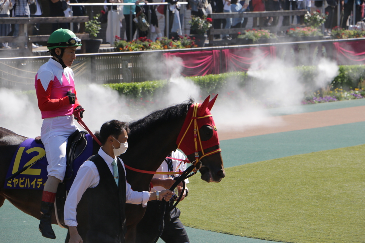 f:id:shitooo:20210526205344j:plain