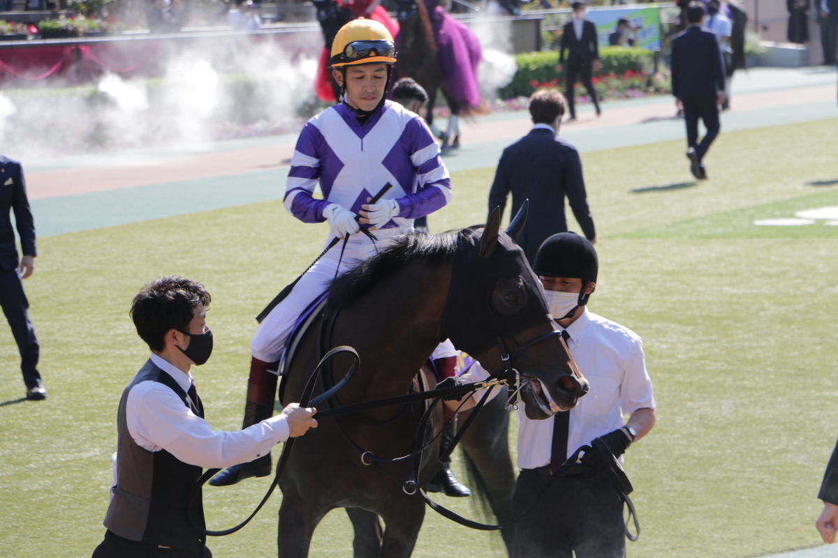 f:id:shitooo:20210526205518j:plain