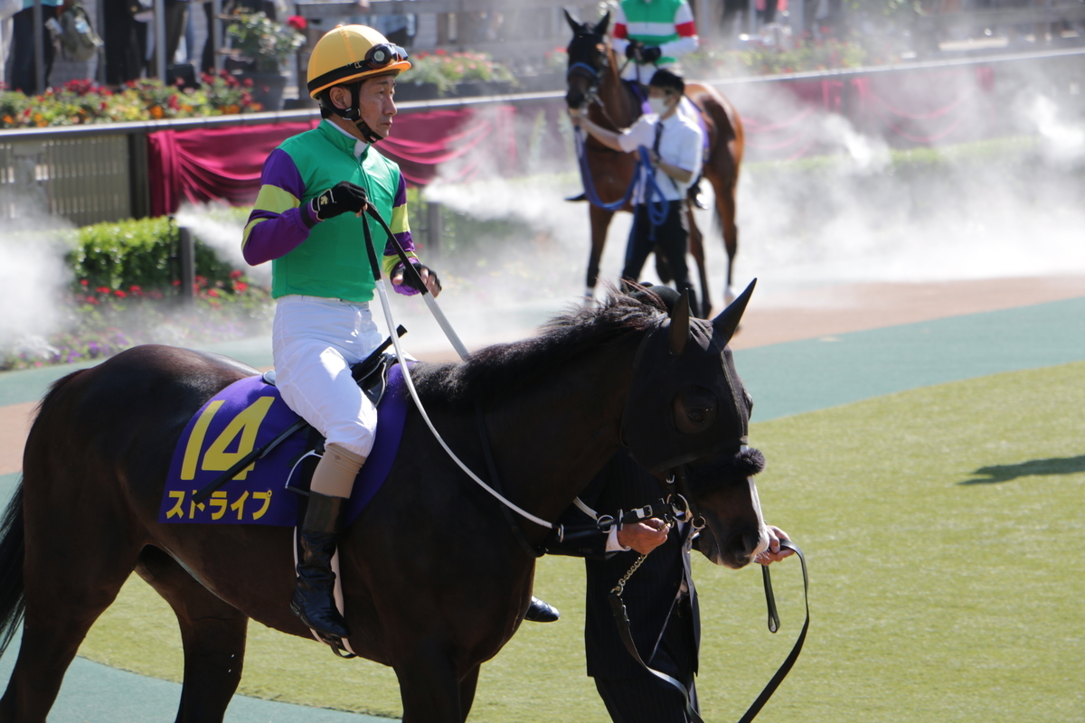 f:id:shitooo:20210526205658j:plain