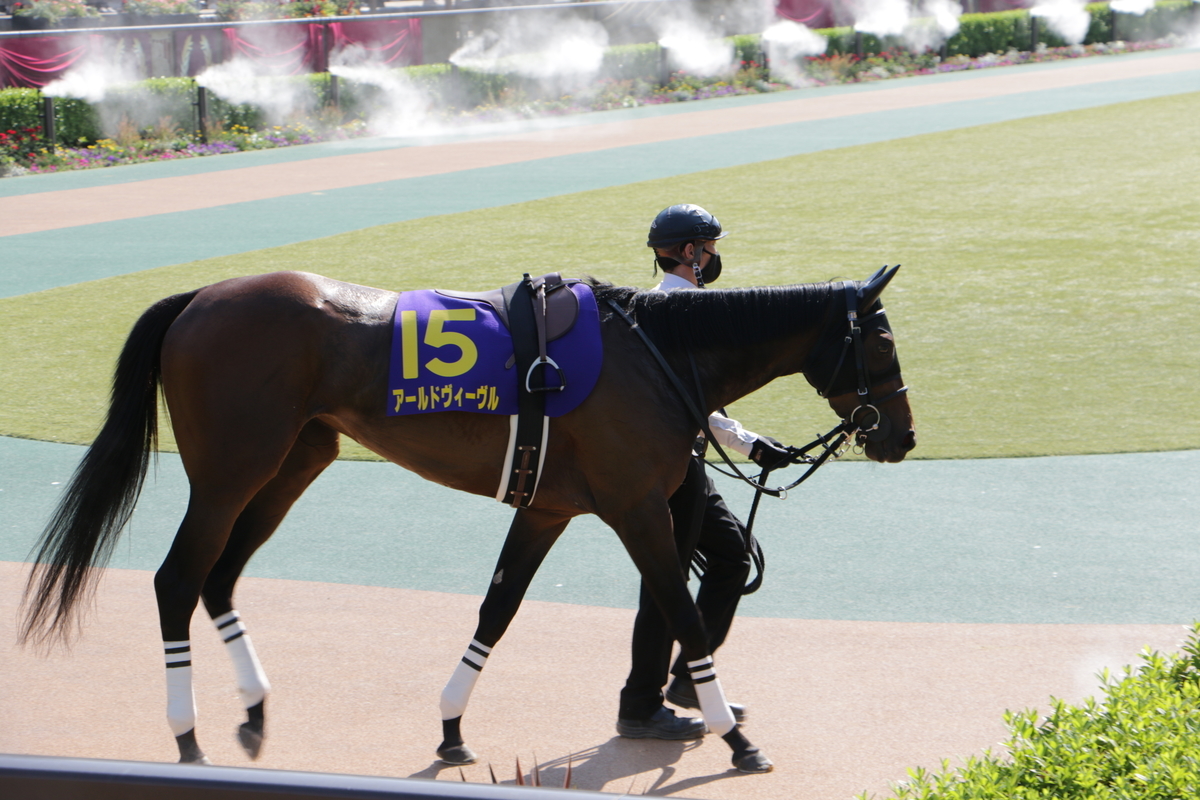 f:id:shitooo:20210526205822j:plain