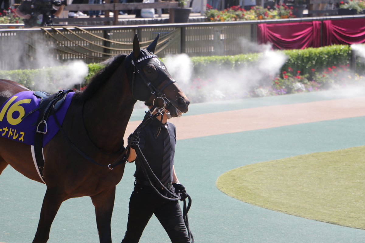 f:id:shitooo:20210526210056j:plain