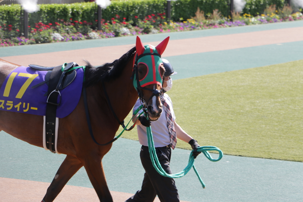 f:id:shitooo:20210526210238j:plain