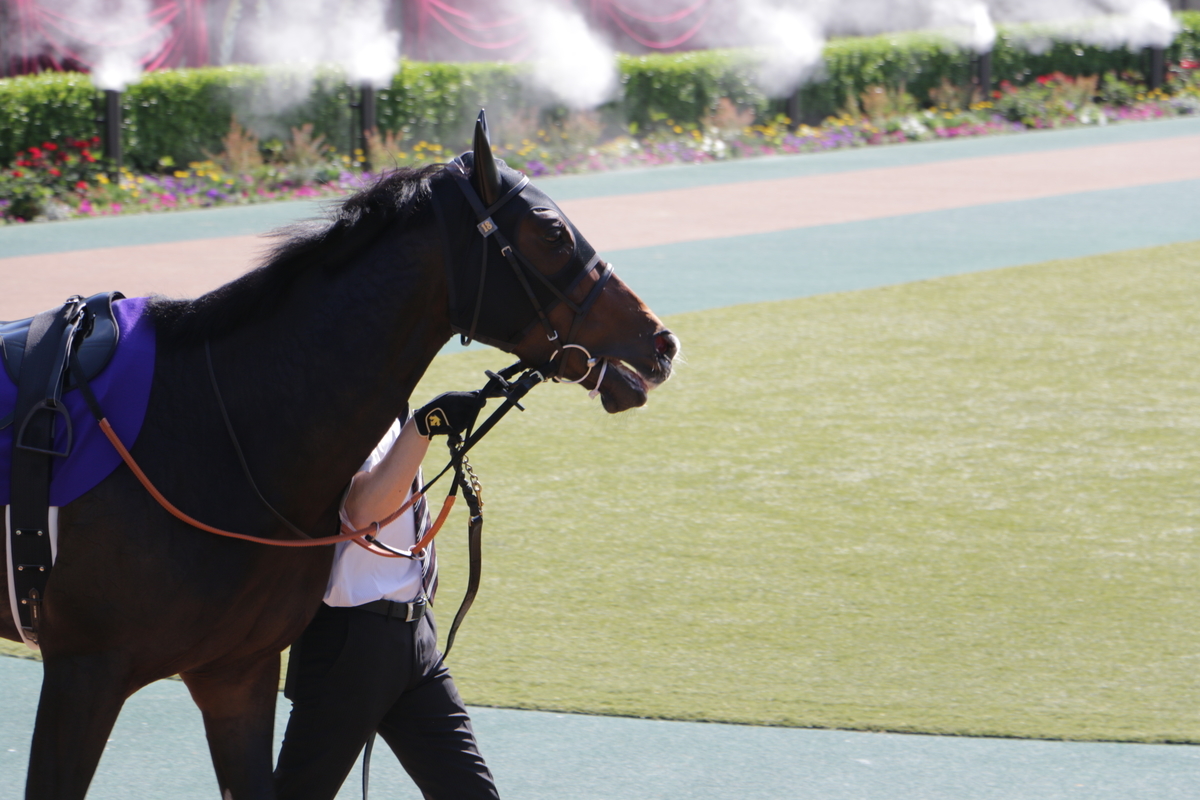 f:id:shitooo:20210526210517j:plain