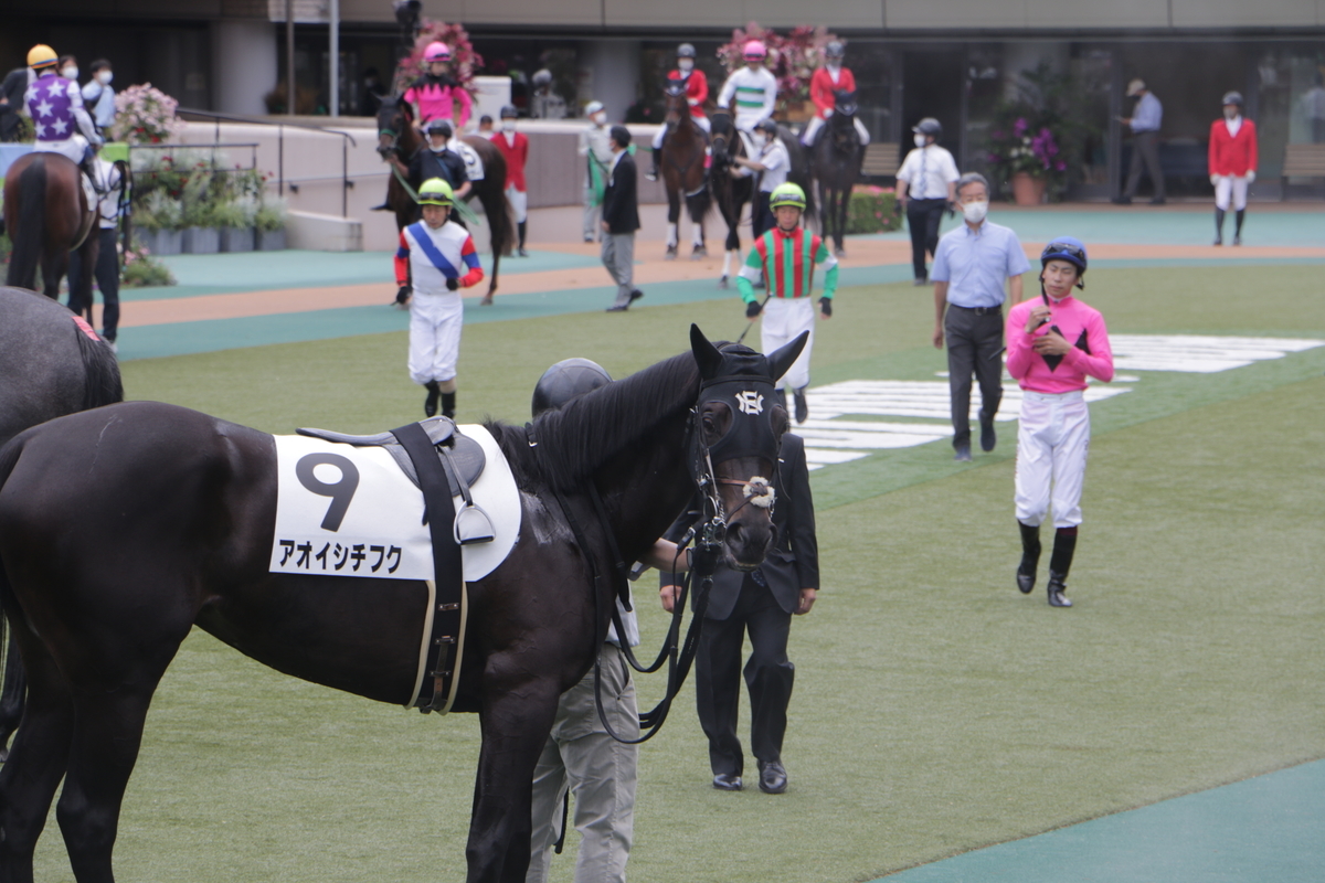 f:id:shitooo:20210526211752j:plain