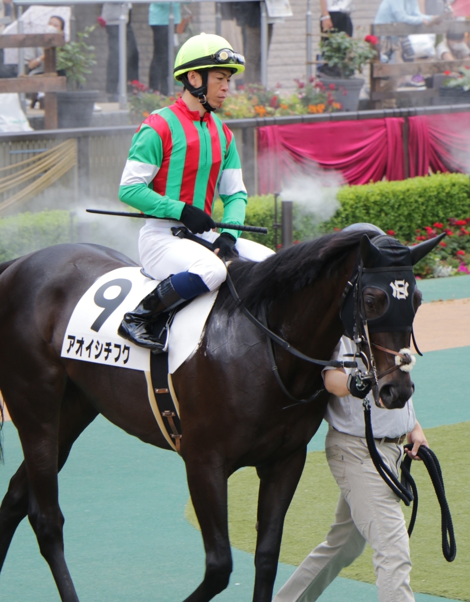 f:id:shitooo:20210526211820j:plain